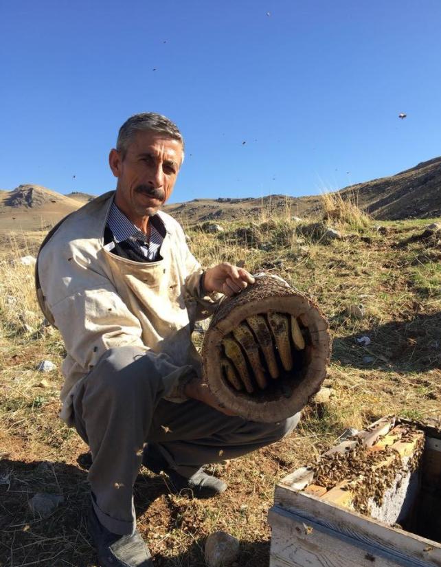 siirt pervari balı